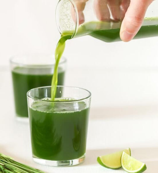 The Power of Green: Discover the Benefits of Drinking Wheatgrass Juice Daily